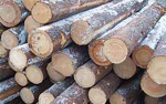 Timber from sustainable sources